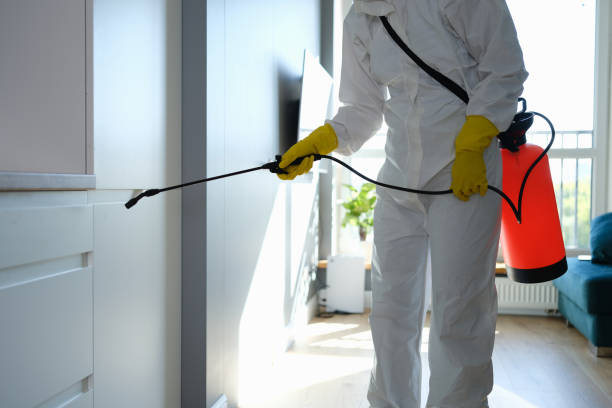 Mold Testing and Removal in Holyoke, MA
